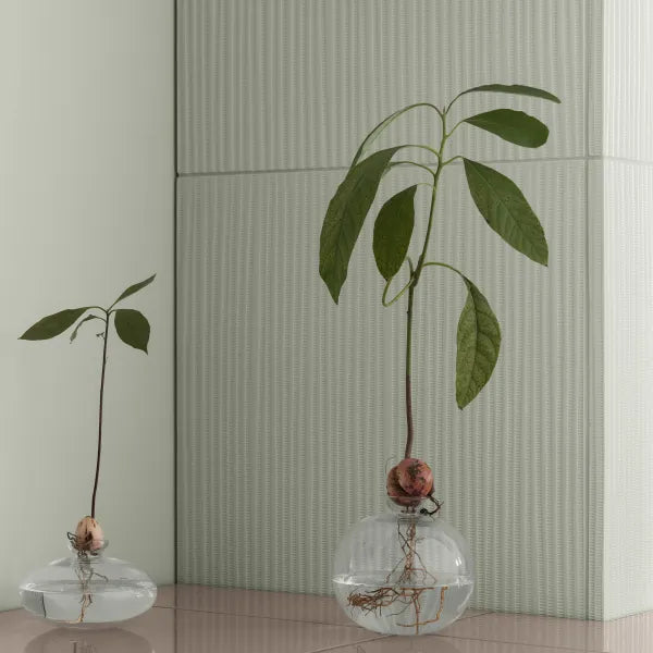 Vase Avo