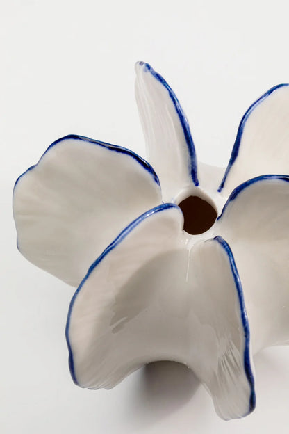 Vase Coral